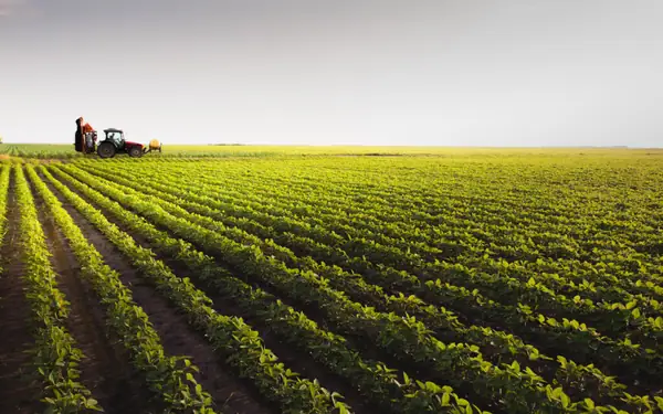 90% of farmers to maintain or increase spending on bio-based crop protection, says McKinsey global farmer survey