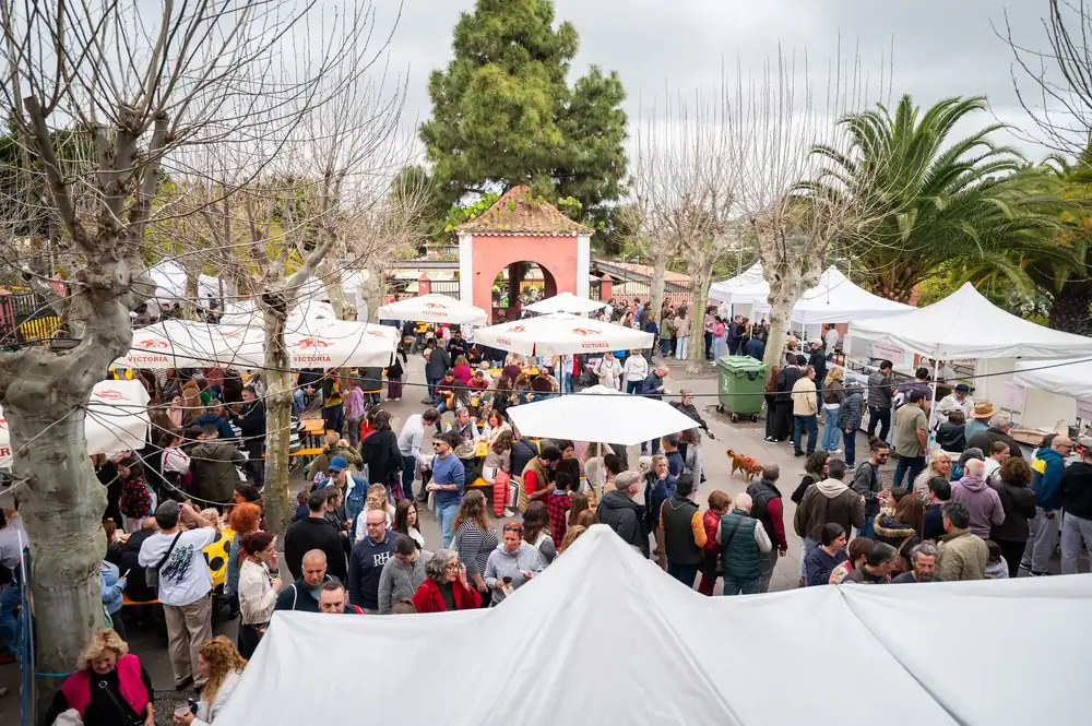 Popular gastronomic event in Santa Brígida a resounding success