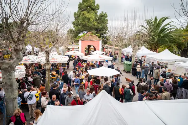 El popular evento gastronómico en Santa Brígida fue todo un éxito