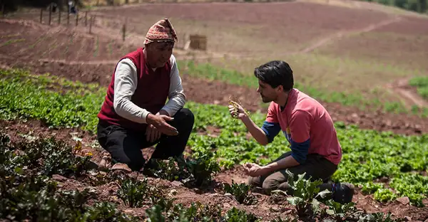 Virgilio Martínez recibe el premio Andorra Taste Award 2026 por destacar la agrobiodiversidad de Perú