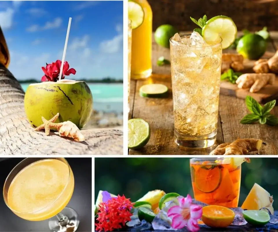 Las 20 mejores bebidas guyanesas para mantenerse fresco e hidratado