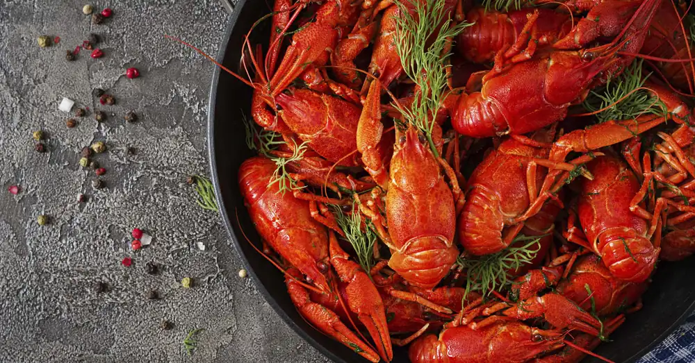 Crayfish party