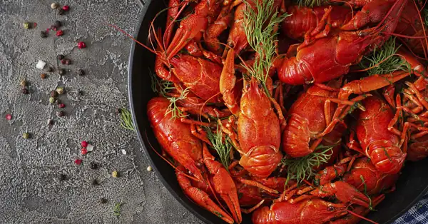 Crayfish party