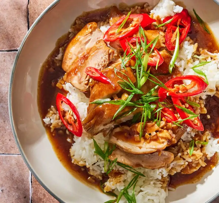 Saucy Garlic Chicken Rice Recipe