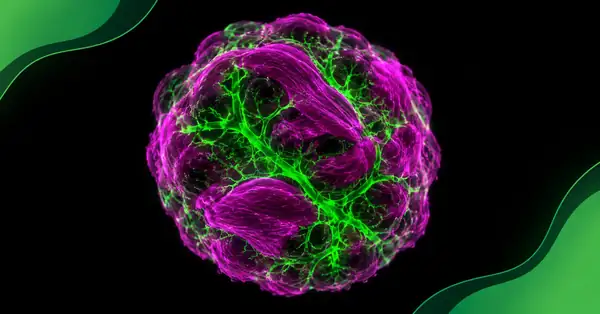 La carne cultivada da un paso importante hacia el filete de laboratorio