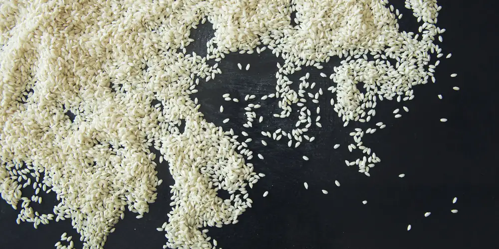 A Guide To Italian Rice Varieties