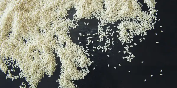 A Guide To Italian Rice Varieties