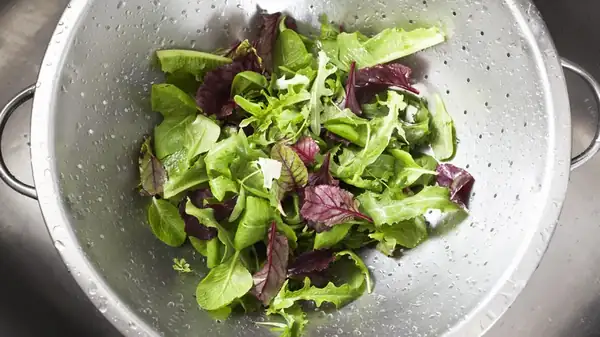 Where Is Salad Sling From Shark Tank Today?