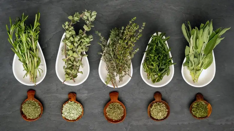 How To Make Dried Herbs At Home Without Turning On Your Oven