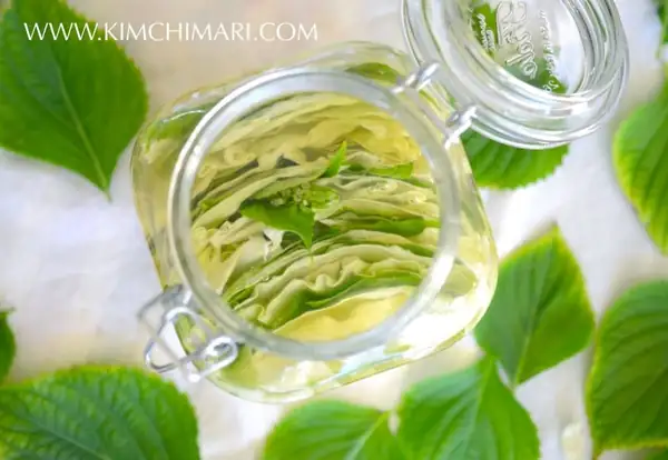 Korean Perilla Cabbage Pickle (Kkaetnip Yangbaechoo Chojeolim)