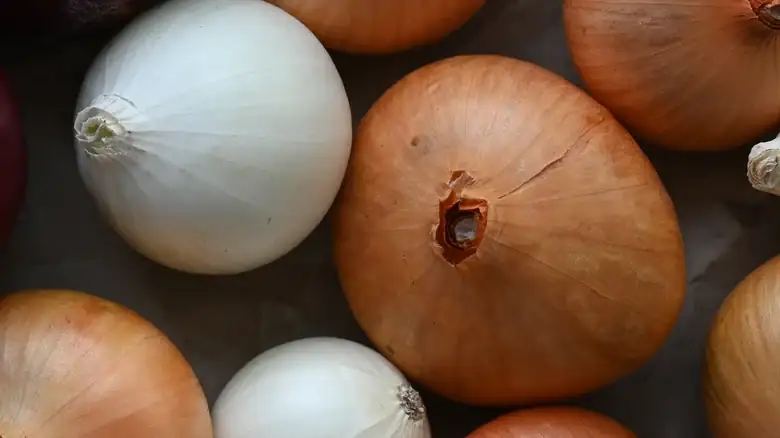 How White And Yellow Onions Differ