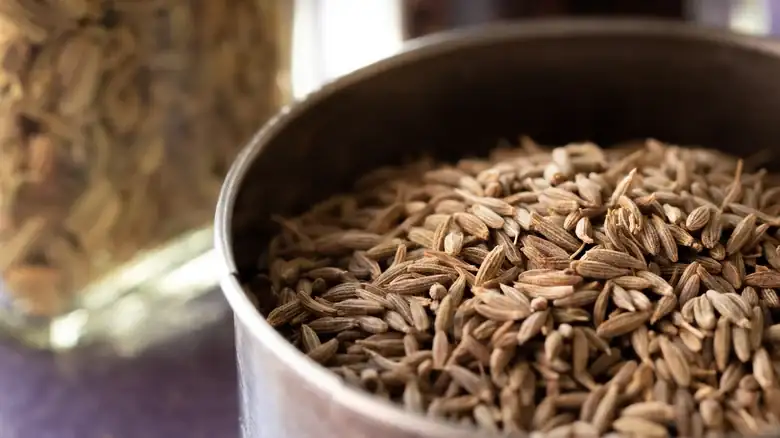 The Truly Ancient Origins Of Cumin