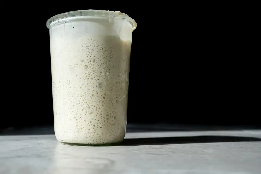 How Do I Feed My Sourdough Starter?