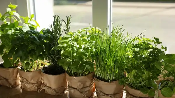 Leftover Herbs? Throw Them In Some Pasta Dough