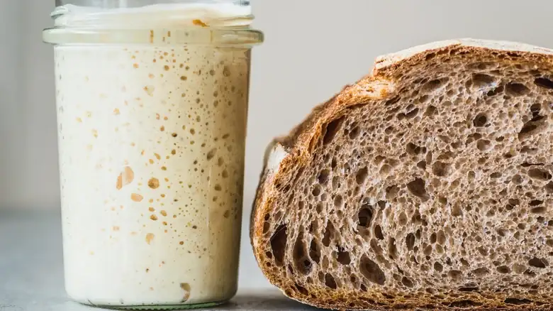 The Important Sourdough Rule You've Been Breaking This Entire Time — And Why You're Actually Right