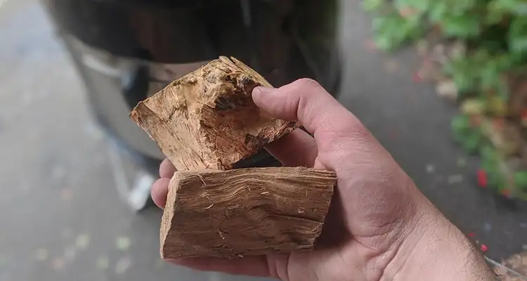 What Is the Best Wood for Smoking Brisket?
