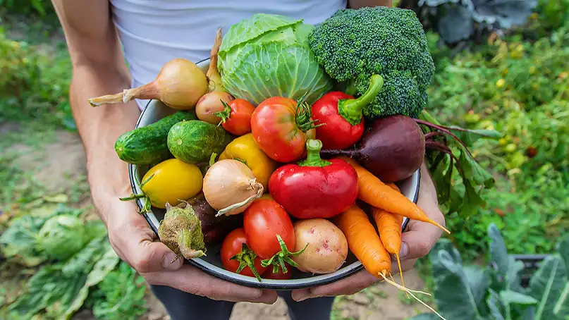 Eat seasonally all year round