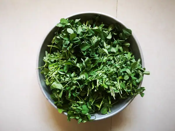 India's Beautifully Bitter Foods