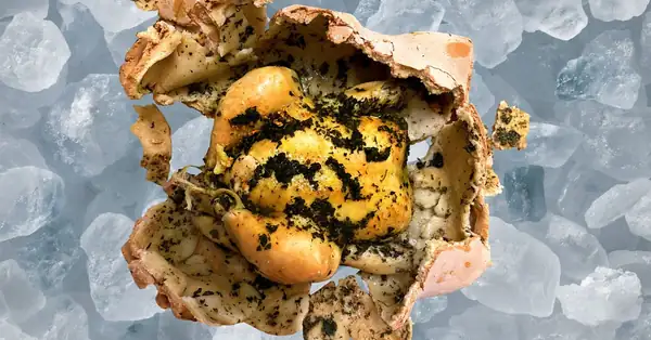 Chicken in a Salt Crust
