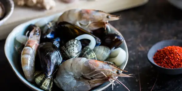 Fish Recipes and Seafood Recipes