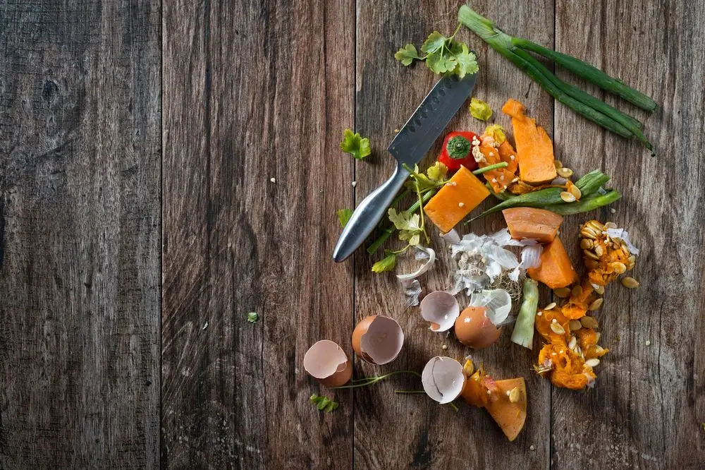 The 4 Shocking Consequences of Food Waste