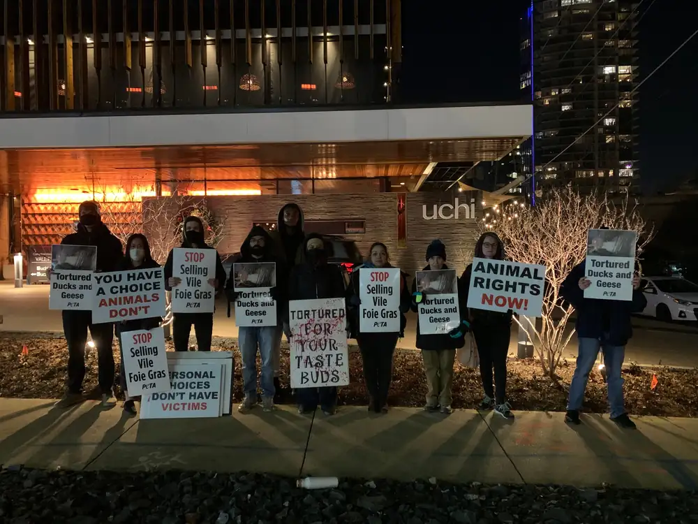 La protesta de PETA en Uchi pone al foie gras en el punto de mira