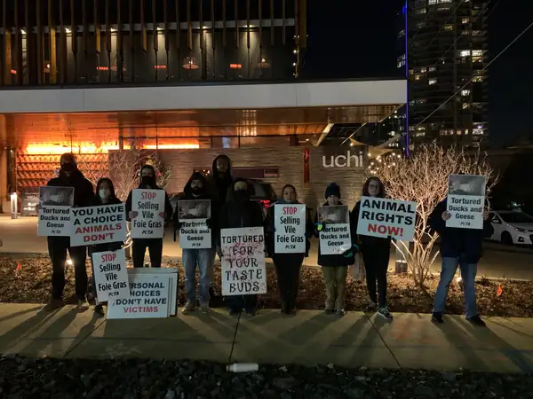 PETA Protest at Uchi Puts Foie Gras in the Spotlight