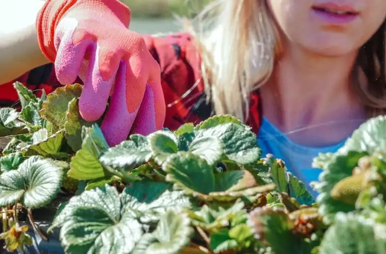 Study on female leadership in the field: challenges and opportunities - Gastronomy Journal: Cooking, wine, gastronomy and gourmet recipes