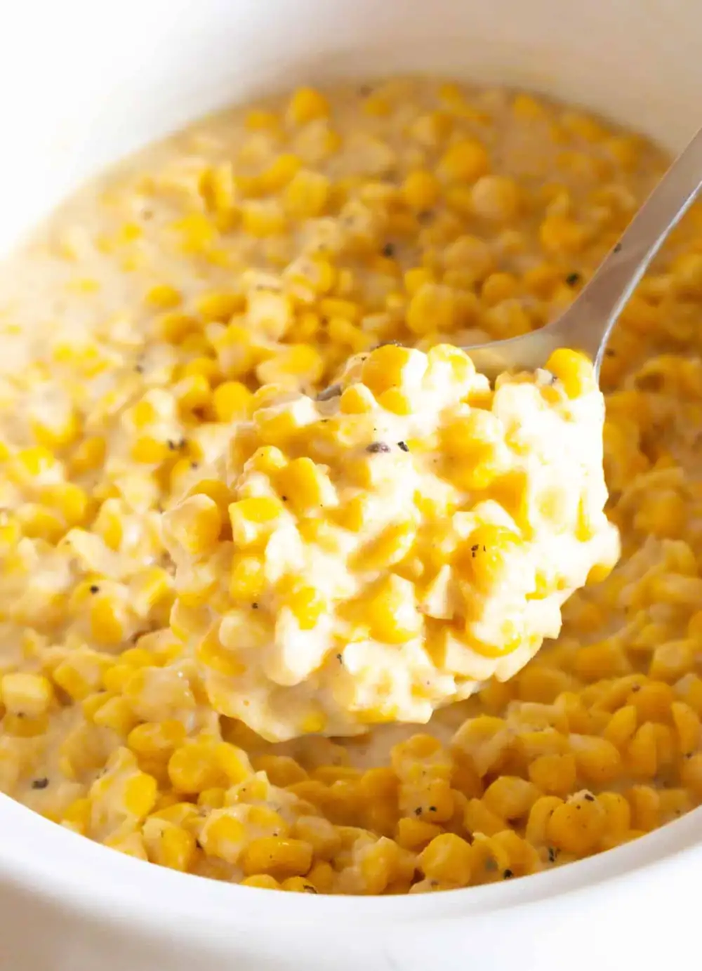 Top Holiday Crock Pot Recipes
