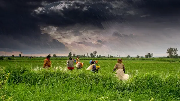IIM Ahmedebad’s CIIE & ICAR-NAARM Launch India’s First Food & Agriculture Accelerator