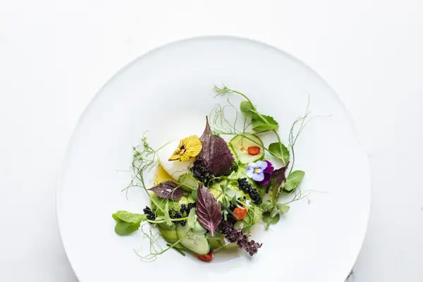 Genoese, Thai, lemon, tulsi: the most common varieties of basil