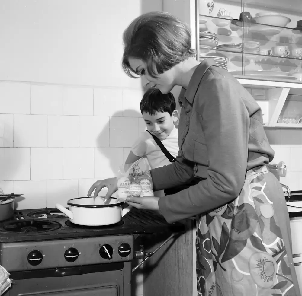 Encyclopedia of Hungarian dishes: cottage cheese dumplings