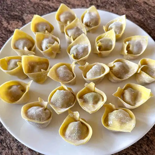 Shrimp and Pork Wontons