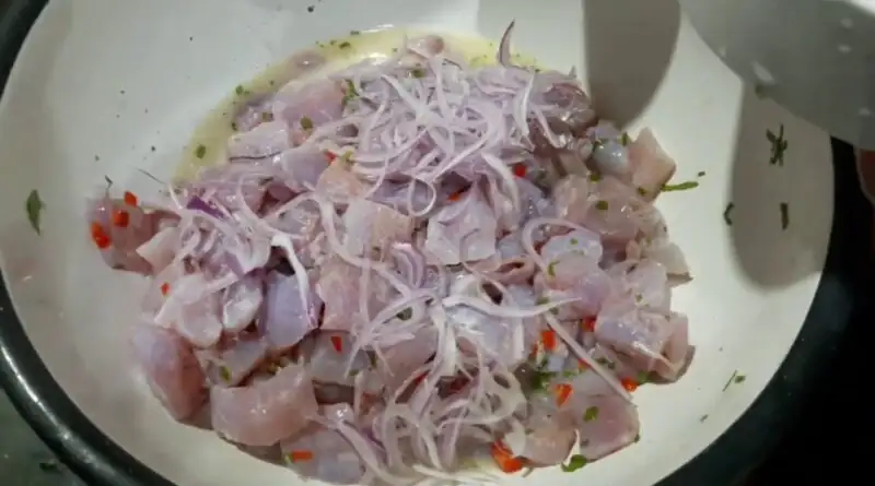 Easy and quick hake ceviche recipe to prepare at home