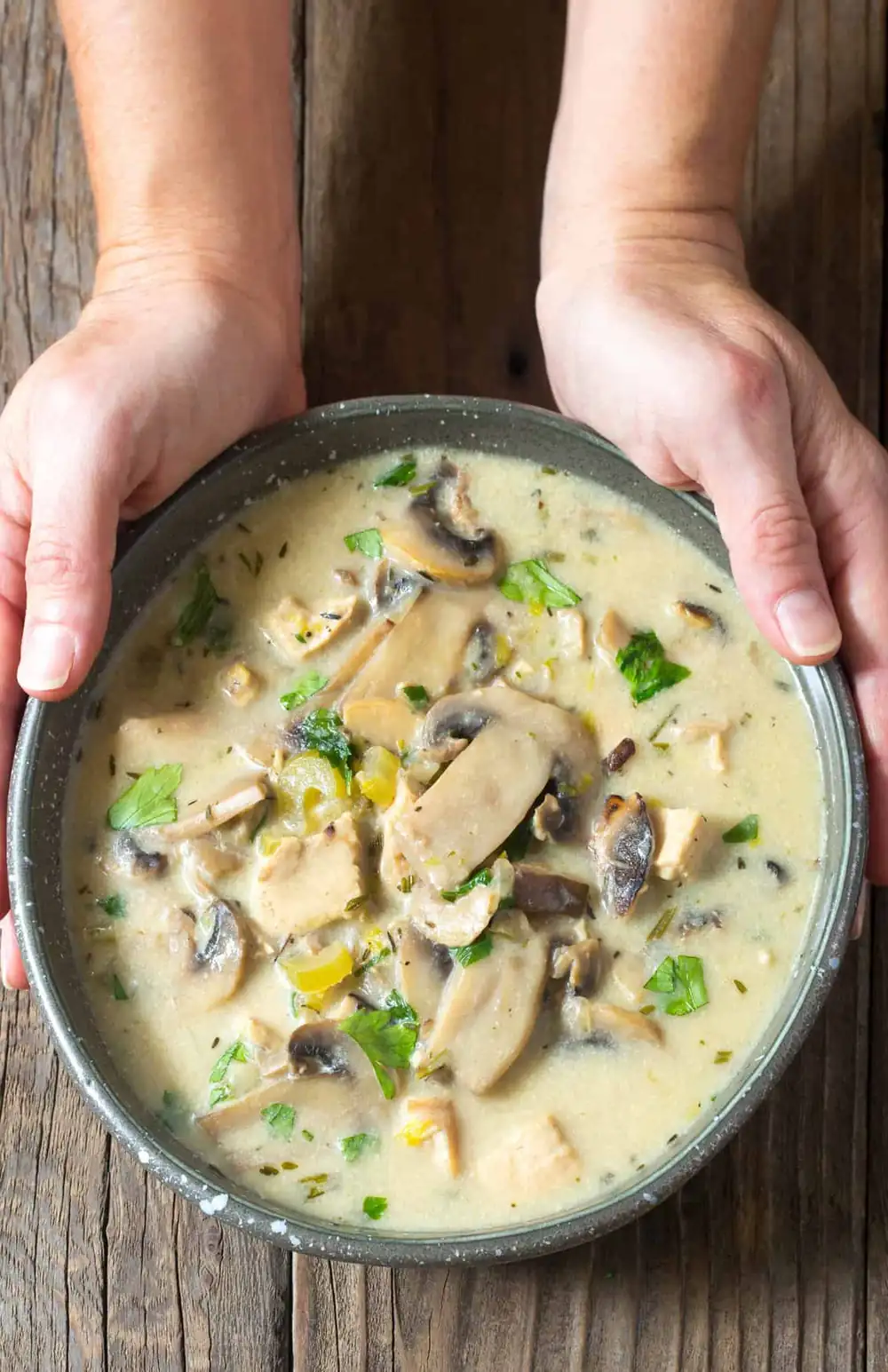 Sopa cremosa de pollo y champiñones baja en carbohidratos