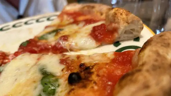 Vico in Rome, review: Enzo Coccia's pizza