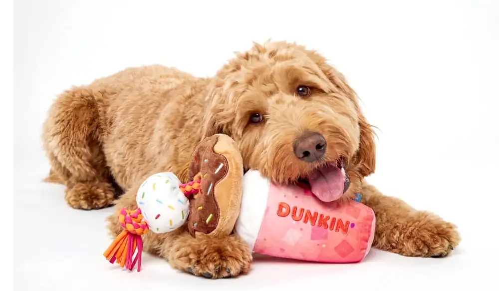 Dunkin’ and BARK Unleash First-Ever Doggie Drive-Thru