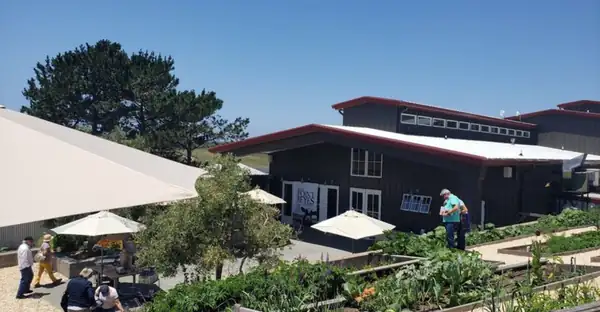These 7 California Creameries Churn Small-Batch Ice Cream From Their Own Cows