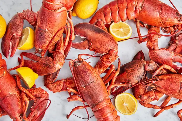 Cómo cocinar una langosta
