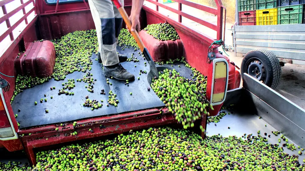 La reforma de la UE busca fortalecer el poder de negociación de los agricultores