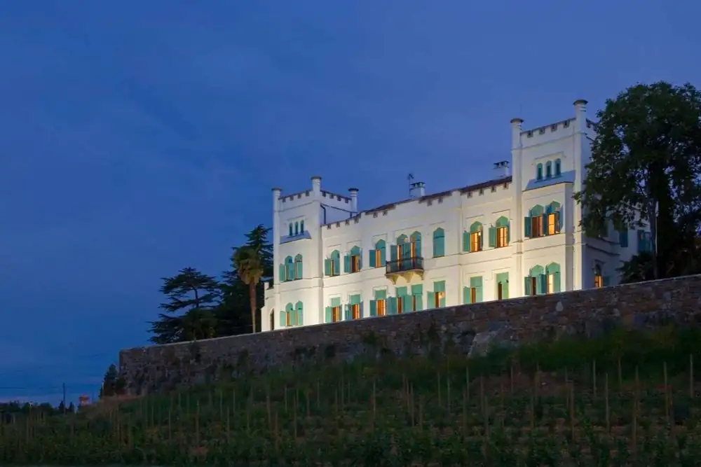 The future of Italian wine: trends, challenges, and opportunities
