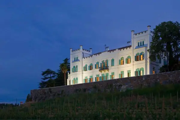 The future of Italian wine: trends, challenges, and opportunities