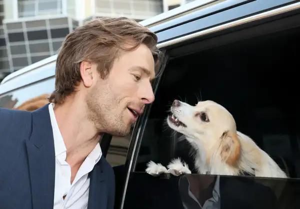 Me encanta lo mucho que Glen Powell quiere a Brisket (el cachorro)