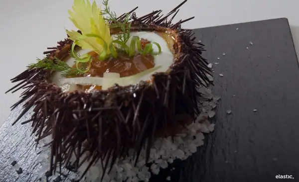 Sea Urchins in Acidulated and Aromatic Hollandaise Sauce over Yogurt