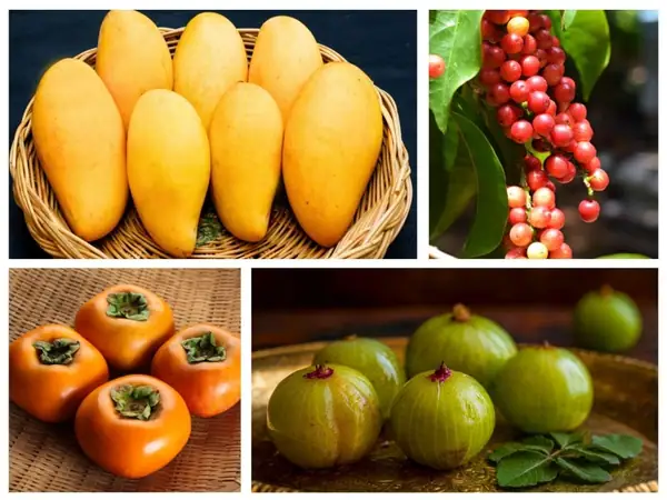 20 Fruits Starting with I