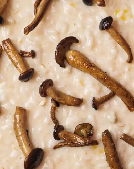 Risotto with gorgonzola and pioppini mushrooms 🍄