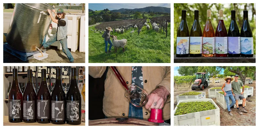 Nueve enólogos que están definiendo la próxima generación del vino californiano, según los sumilleres