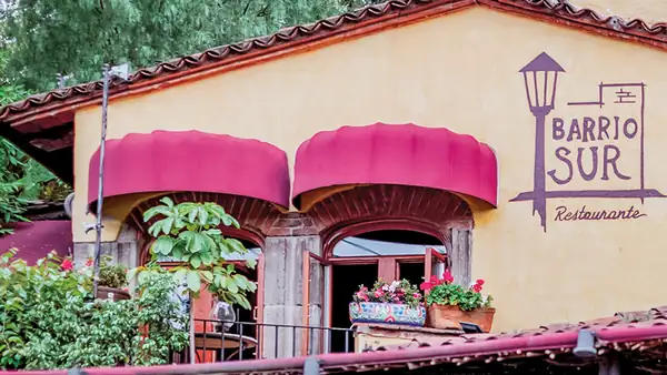 Barrio Sur: Italian-Uruguayan Gastronomy at San Ángel Inn