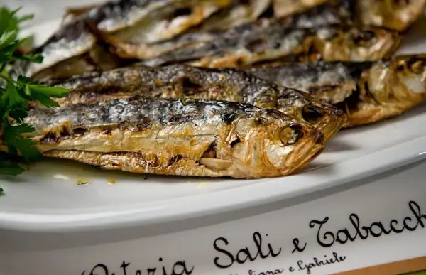 Where to eat in Lecco and the surrounding area: the best restaurants