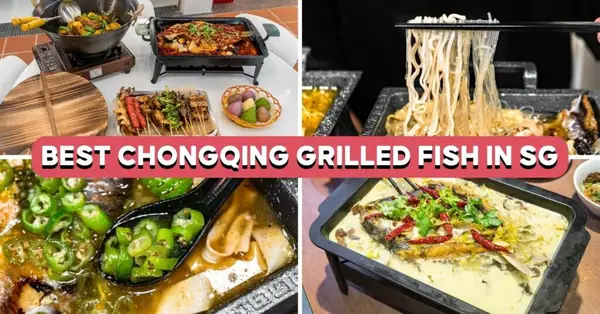 10 Best Chongqing Grilled Fish In Singapore From $8
